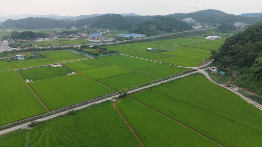 Panoramic aerial view showcasing verdant rice paddies, a rural village, and industrial structures surrounded by forested mountains under a hazy sky, depicting Korea