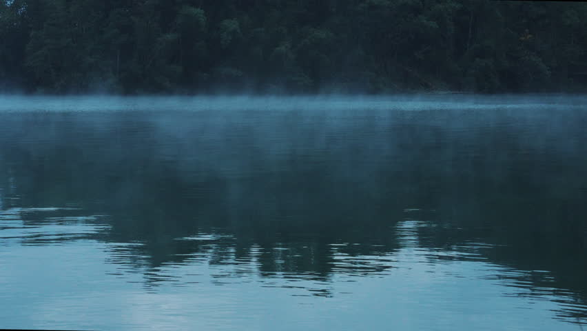 Lake and the forest in the fog