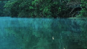 Lake and the forest in the fog - Powered by Shutterstock - Get 15% off with code: PIKWIZARD15