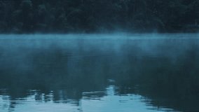 Lake and the forest in the fog - Powered by Shutterstock - Get 15% off with code: PIKWIZARD15