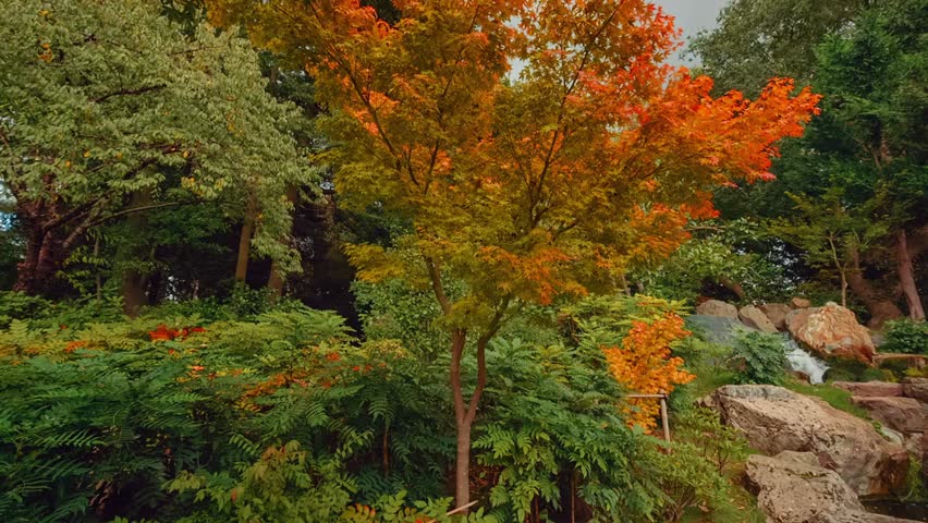 A serene garden scene featuring lush greenery, a flowing waterfall, and gentle early-autumn colors creating a peaceful natural landscape with soothing atmosphere.