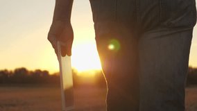 Wheat field agriculture farmer using digital tablet, Business innovation farming through technology wheat field, farmer hand holding tablet while surveying agricultural land, Digital transformation - Powered by Shutterstock - Get 15% off with code: PIKWIZARD15