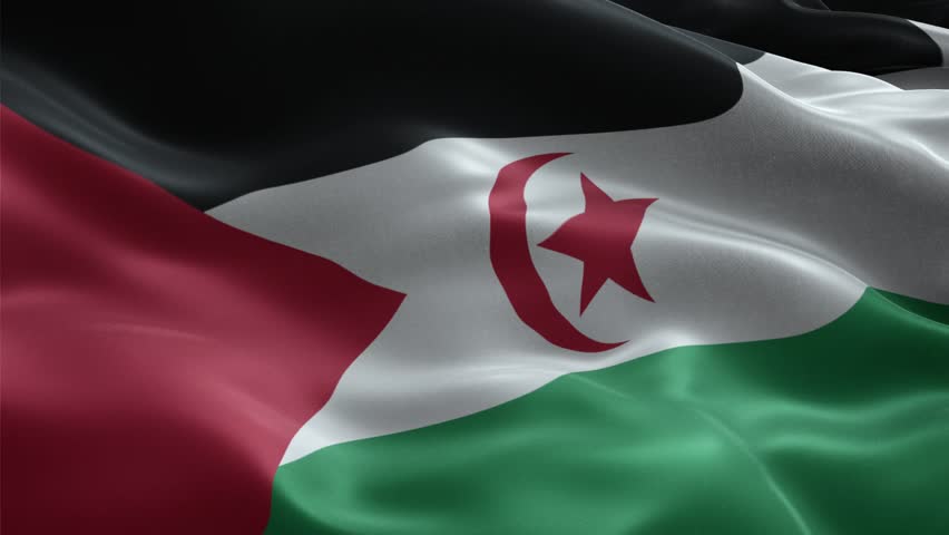 Waving Sahrawi Flag Seamless Loop, Close-up, 1080p HD