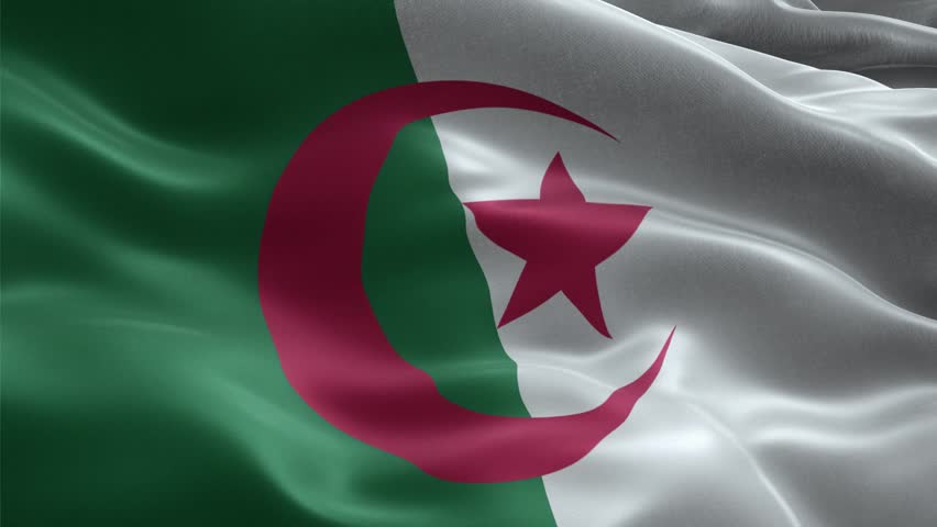 Waving Flag of Algeria Seamless Loop, Close-up, 1080p HD
