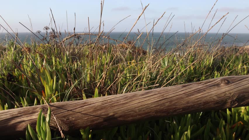 A Coastal view with waves crashing into dark, jagged rock formations beneath a cliff with grass along the coast of Sao Pedro of Moel, Leiria, Portugal - Powered by Shutterstock - Get 15% off with code: PIKWIZARD15