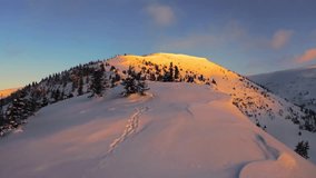 Aerial drone view of a snow covered mountain ridge illuminated by golden sunrise light. Winter landscape with pine trees and blue shadows. - Powered by Shutterstock - Get 15% off with code: PIKWIZARD15