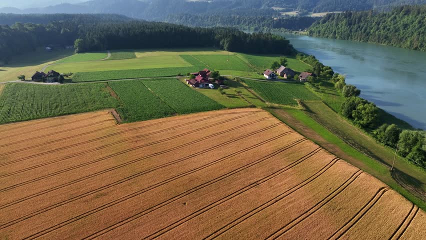 Aerial summer scenery of fields near Drava river in Slovenia, rolling land, soft light, quiet countryside, smooth cinematic drone movement