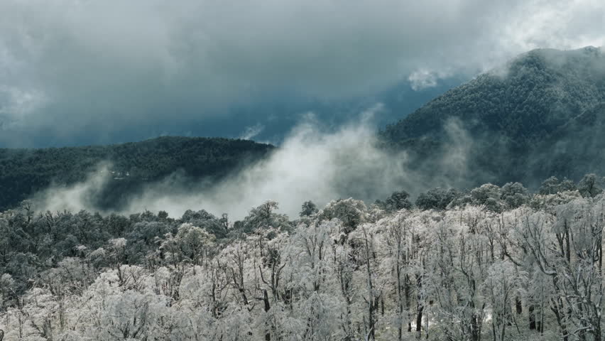 Snowy Mountain Forest with Fog Rolling Through the Valley