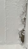 A close-up shot of a damaged wall with a crack and white mold and mildew growing in it. Mold and mildew are hazardous to human health. - Powered by Shutterstock - Get 15% off with code: PIKWIZARD15