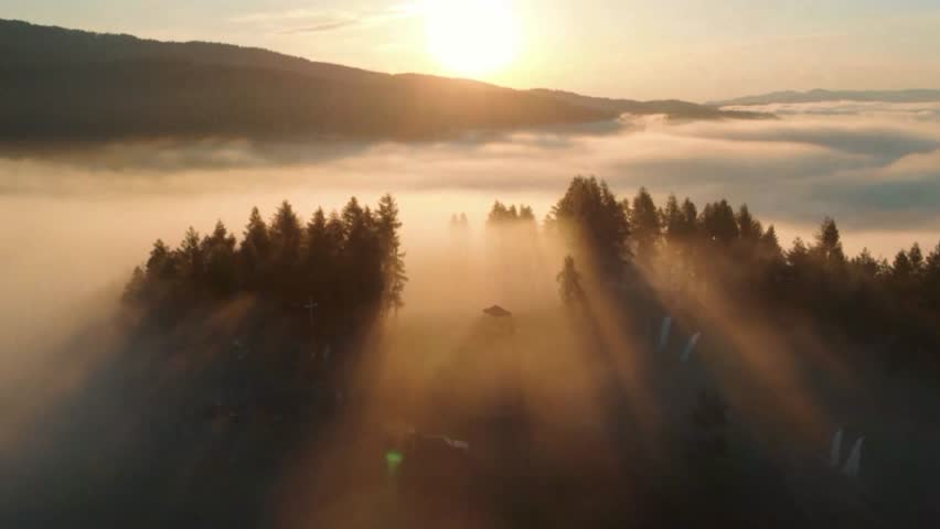 Misty Forest Sunrise with Golden Sunbeams
