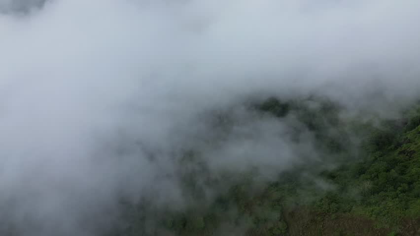 Aerial view of thick fog covering dense green forest on a mountainside, creating a soft and dreamy natural scene from above.
