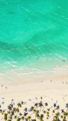 Pristine and bounty caribbean seashore with coconut palm trees and azure tropical sea. Beautiful beach. Aerial above view. Vertical footage