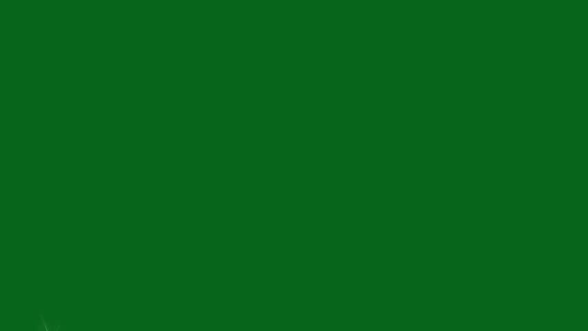 Magic glitter sparkle trail transition, golden glowing starlight glitter sparkle path white twinkling stars line, fast glittering star lines, sparkling starry line effect on green screen. 4k animation
