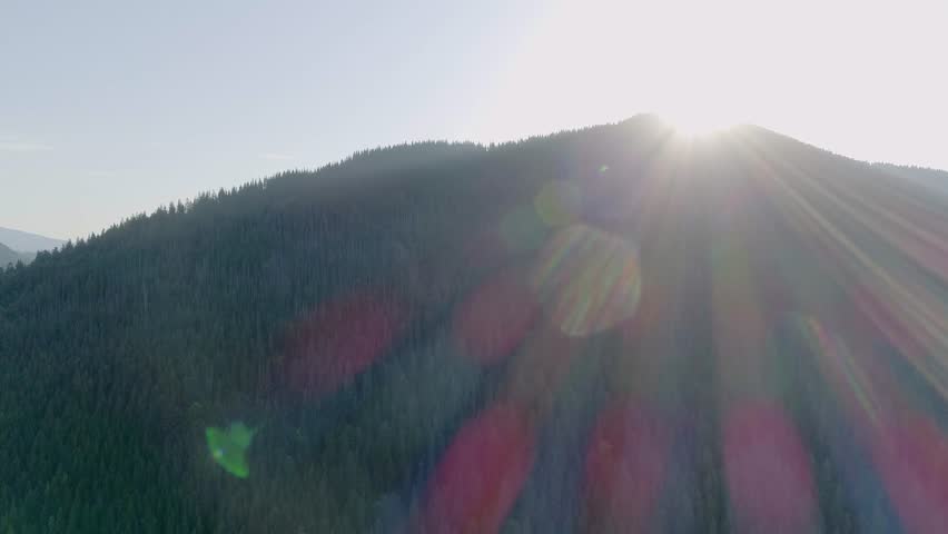 Shine sun disappearing behind green hill forest, sun disappearing behind green forested hills during peaceful dusk. golden twilight atmosphere ideal for transition and calm themes