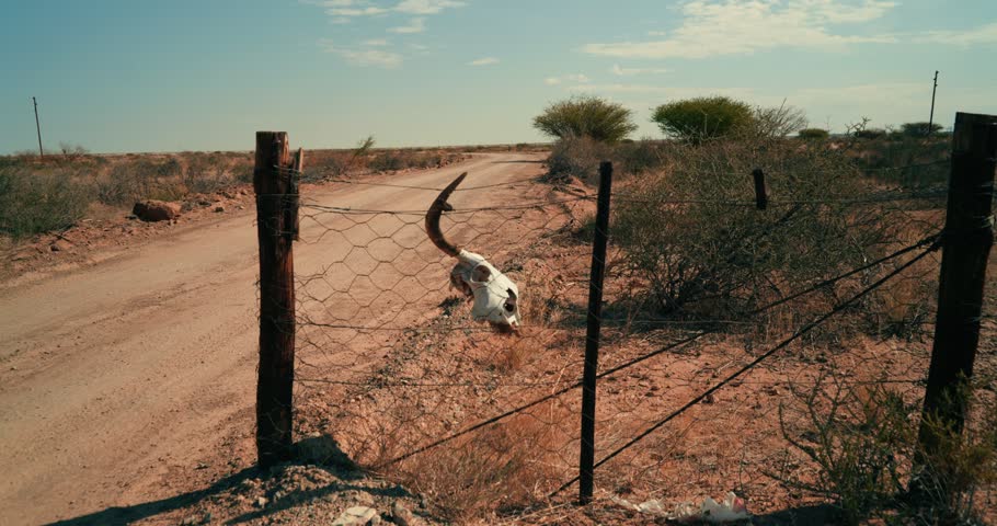 Wide shot of a bull’s skull hanging on a chain-link fence beside a gravel road, the vast Namibian desert stretching into the background under warm dry light.