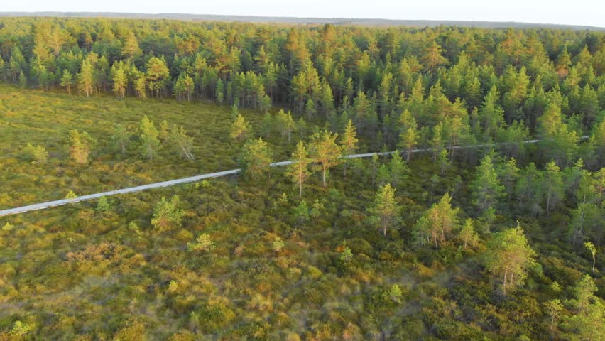 A high altitude drone shot captures a scenic view of the wooden boardwalk trail winding through the vast, autumnal marshland of the Dubrava subsoil reserve in Kaunas district, Lithuania.