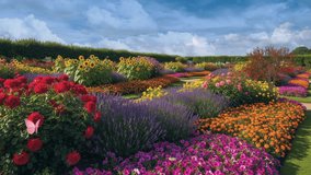 Colorfull Flowers in the garden - Powered by Shutterstock - Get 15% off with code: PIKWIZARD15