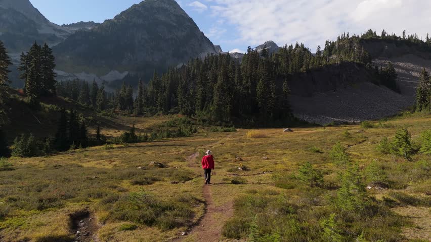 Solo Hiker Exploring a Serene Mountain Valley in British Columbia, Canada