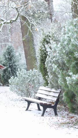 Snow-covered park bench in a peaceful winter landscape, calm snowy day scene
