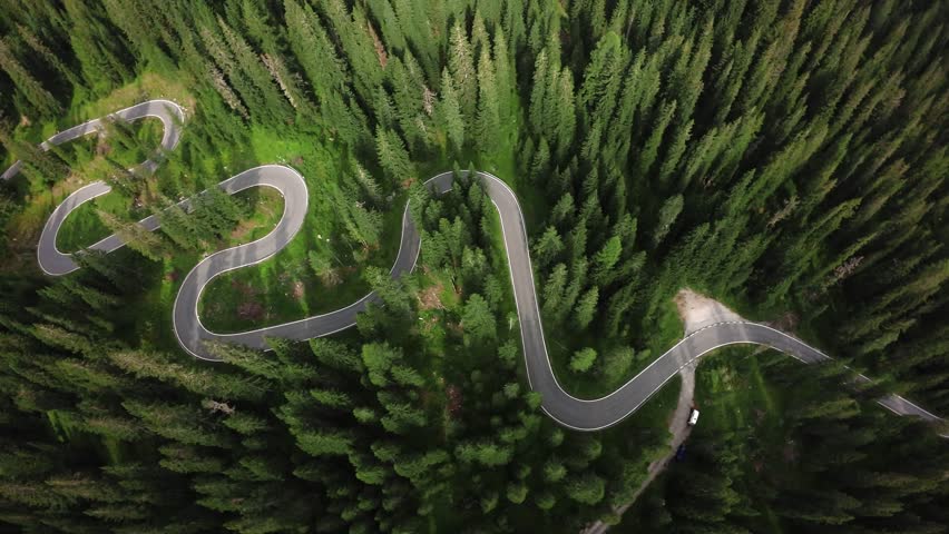 treelined forest path, hidden trail amidst towering woods, concealed route weaving through thick canopy, secluded route threading through shadowed woodland environment with shadows
