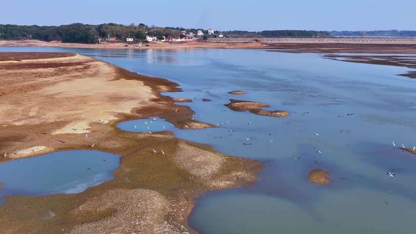 A flock of migratory birds flies in the sky at sunset, in slow motion.