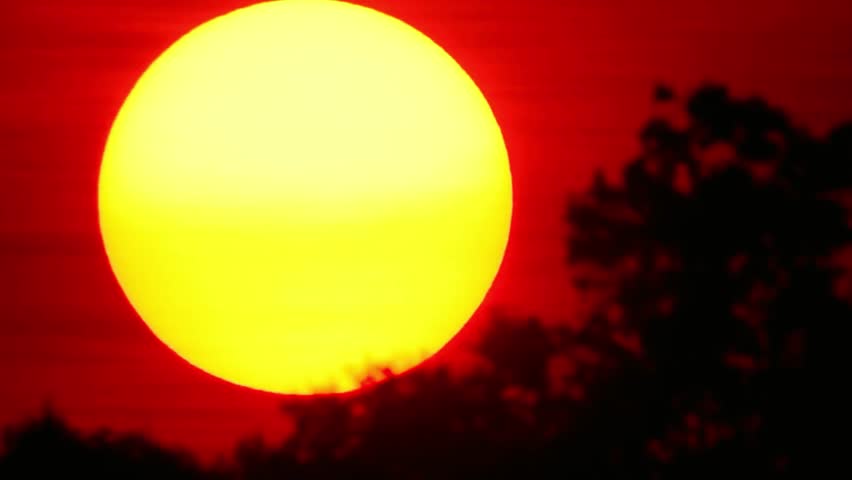 Vivid sunset with a bright yellow sun partially obscured by dark tree silhouettes