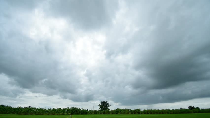 Dramatic cloudy sky over a green field landscape with a single tree in distance