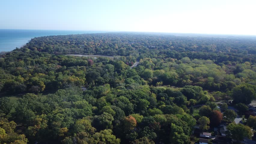 dense forest in southern ontario along lake huron