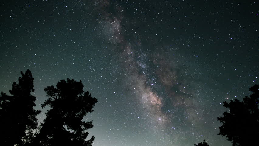 Milky Way Galaxy in Southeast Sky Over Forest 24mm Astrophotography Time Lapse California USA