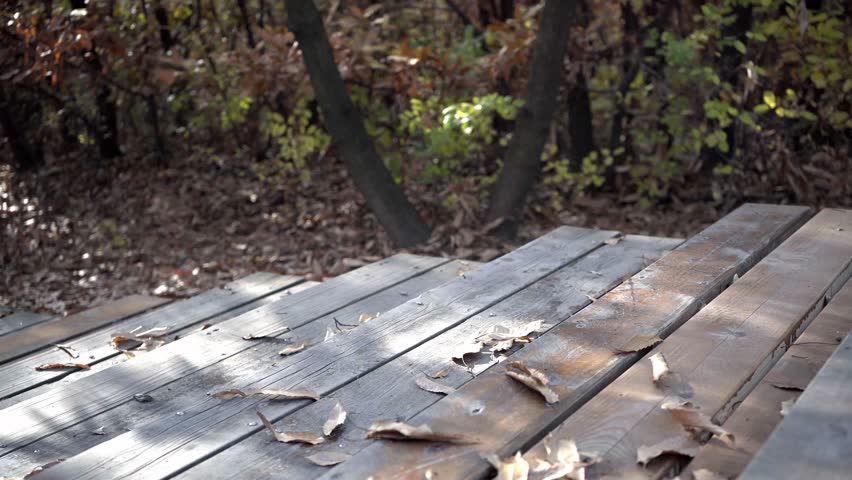 A man climbed the wooden steps, heading upwards. The leaves  on either side of the steps were withered and yellow, and sunlight filtered through the gaps, falling onto the wooden walkway.