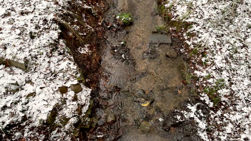 View of the stream in the winter park
