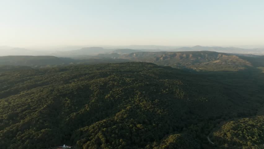 DRONE: AERIAL SHOT OF THE PRIMAVERA FOREST IN THE NORTHERN PART OF GUADALAJARA IN MEXICO