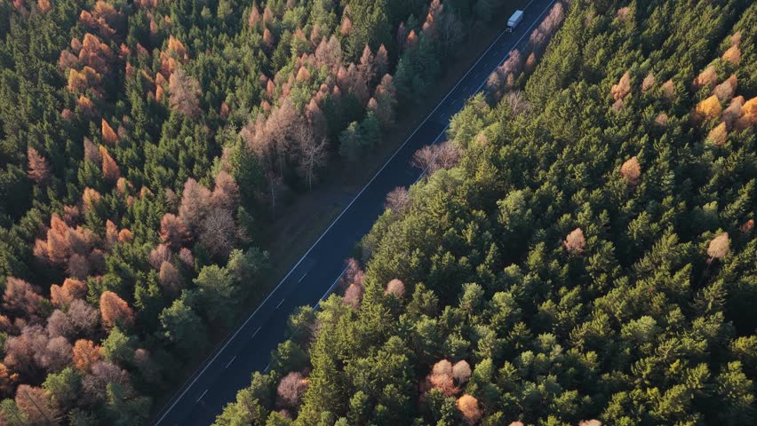 Aerial shot of a roadway with passing cars surrounded by vibrant fall foliage