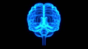 illustration brain 3d science human animation anatomy background black - Powered by Shutterstock - Get 15% off with code: PIKWIZARD15