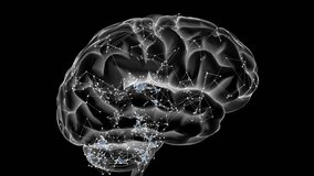 X-ray of the head and human brain in concept of neural connections and medical research - Powered by Shutterstock - Get 15% off with code: PIKWIZARD15