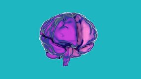 3d render of human brain anatomy science concept medical research computer - Powered by Shutterstock - Get 15% off with code: PIKWIZARD15