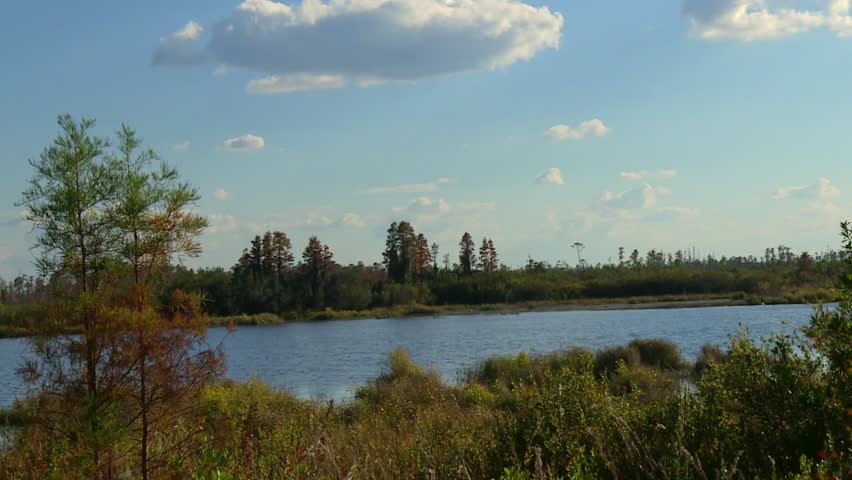 Open swamp lake with cloudy sky and distant tree line in Okefenokee Swamp, Georgia, USA