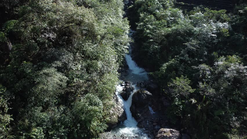 Crystal clear water flows through a rocky mountain stream, surrounded by lush green trees along its banks. This scene captures the natural beauty of the Papuan jungle, Indonesia.