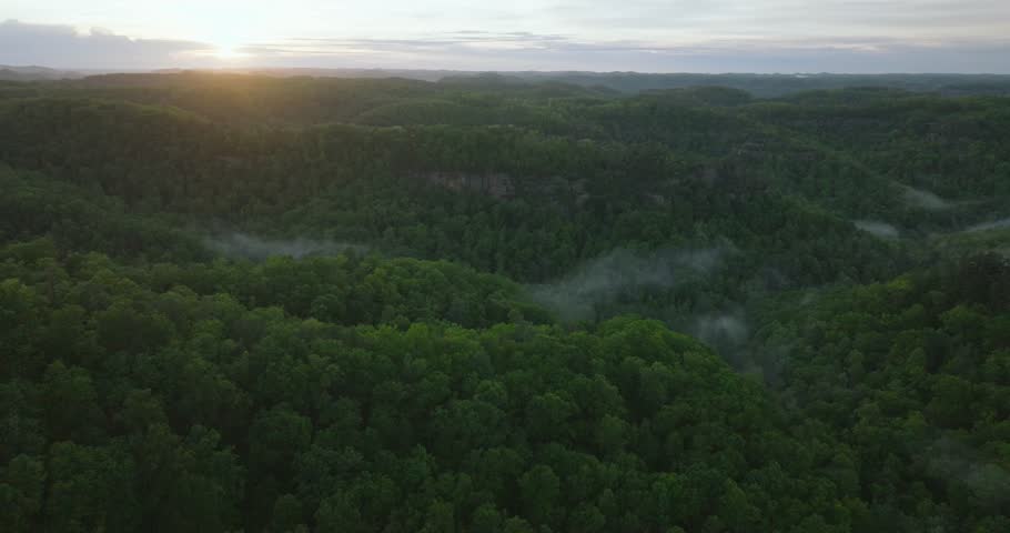 Sunrise over lush forests in Red River Gorge, Kentucky, Appalachia