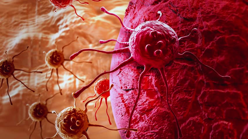 A detailed 3D animation showing the targeted disintegration of a cancer cell, visualizing apoptosis and necrosis for innovative oncology treatment concepts.