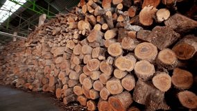Firewood next to the country house, under snow in winter Place of timber harvesting. Stacks of fuel wood Harvesting firewood for heating the house - Powered by Shutterstock - Get 15% off with code: PIKWIZARD15