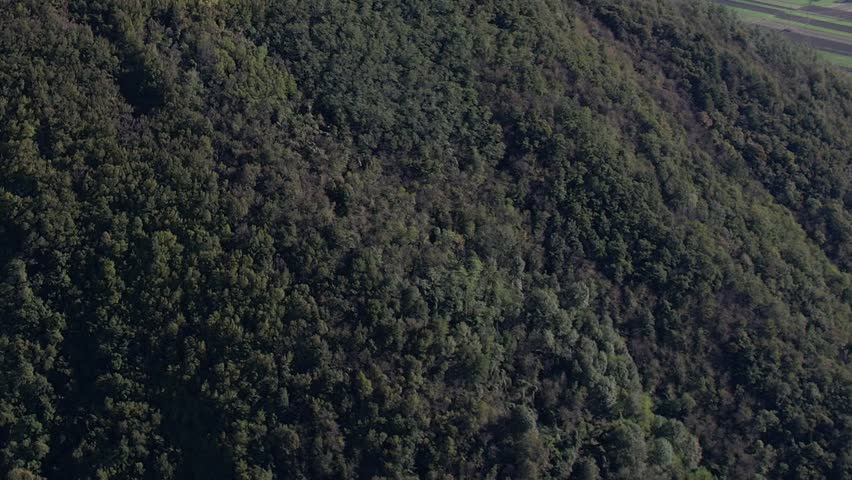 Experience a stunning aerial perspective of vibrant green forests in the Italian Alps. The peaceful landscape features the natural beauty of this mountainous region.