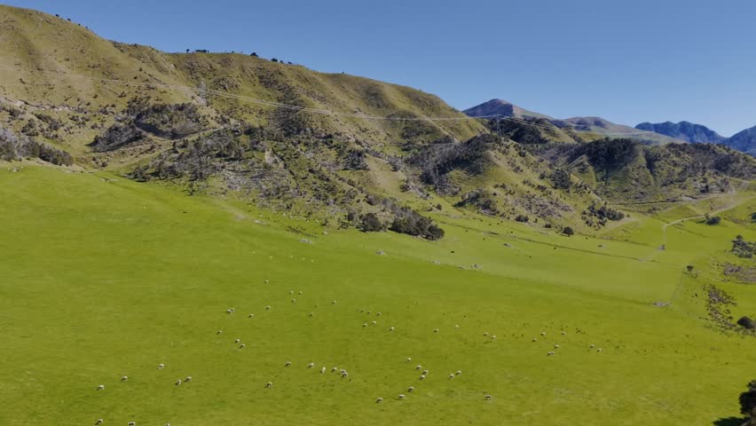 Aerial view of scenic mountain pastures with grazing sheep and rolling hills under clear blue sky