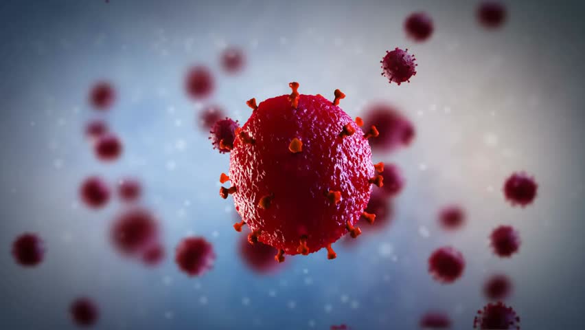 Microscopic 3D visualization of virus cells, showing cellular structure and movement, ideal for scientific, medical, and educational content. - Powered by Shutterstock - Get 15% off with code: PIKWIZARD15