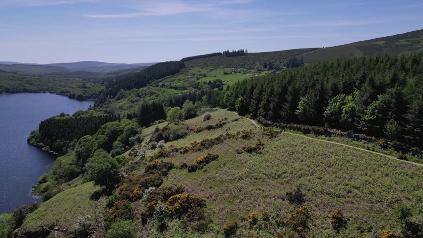 Aerial view over green hillsides, forest trails and deep blue waters surrounding Lough Dan in the Wicklow Mountains, Ireland, captured in bright warm weather