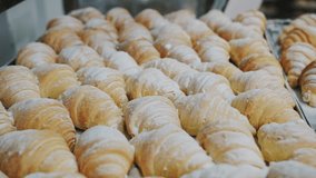Fresh Powdered Croissants on Bakery Tray. Bakery and Confectionery Production - Powered by Shutterstock - Get 15% off with code: PIKWIZARD15