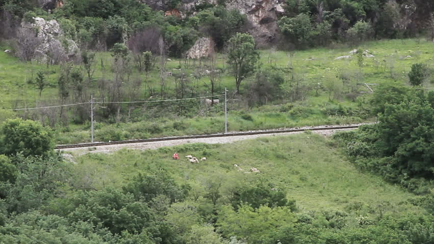 Train