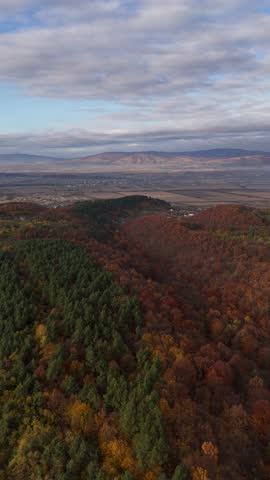 Autumn forest stretching toward distant mountains under a cloudy sky. Warm fall colors mix with evergreen trees, creating a peaceful and expansive landscape.