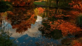 Peaceful autumn park scene with a reflective pond, colorful foliage, and soft light, creating a serene landscape of warm seasonal beauty and natural tranquility. - Powered by Shutterstock - Get 15% off with code: PIKWIZARD15