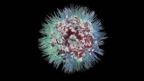 Rotating virus on alpha channel. Medical 3d virus animation. Microscopic pathogen isolated. Detailed viral cell turning. Rotating infectious cell structure - Powered by Shutterstock - Get 15% off with code: PIKWIZARD15